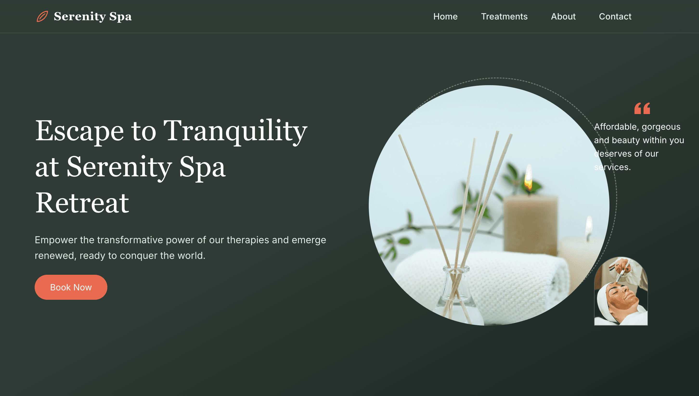 SPA Demo Website Screenshot